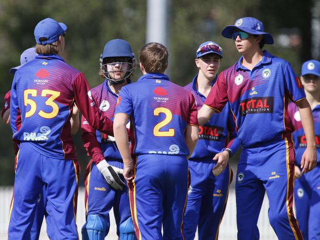 Northern District players enjoy a wicket. Picture Warren Gannon Photography