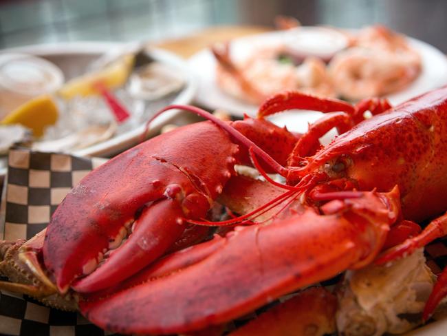 Maine lobster sitting on a bed of crab legs.