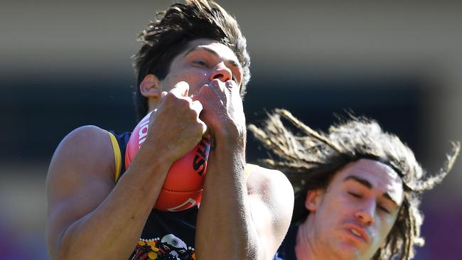 Shane McAdam has shown some good signs for the Crows. Picture: Getty Images