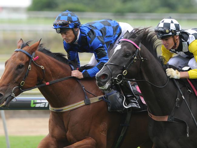 Dubai bound Buffering’s celebrity status soaring