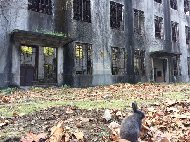 Inside Rabbit Island. Picture: Michael Wayne