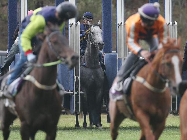 Chautauqua watches his rivals race away from him for the fourth race in a row. Picture: Michael Klein