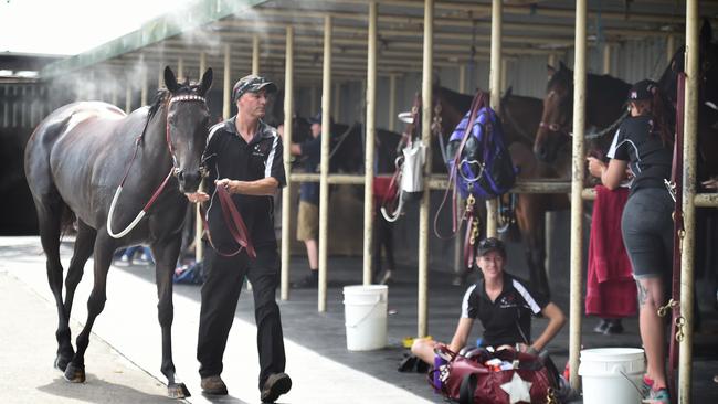 Darren Weir's horse Indian Rani race at Mornington on Wednesday. Picture: Tony Gough