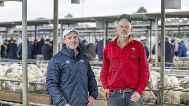 Lachie McAllister from McKean McGregor Bendigo and Bruce Macague from Rochester purchased Merino lambs. Picture: Zoe Phillips