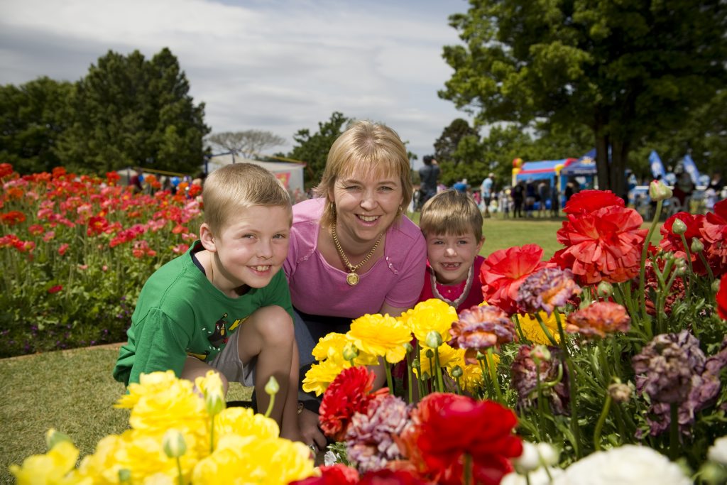 Toowoomba looks spectacular during the Carnival of Flowers. This year will be no exception. Picture: Kevin Farmer