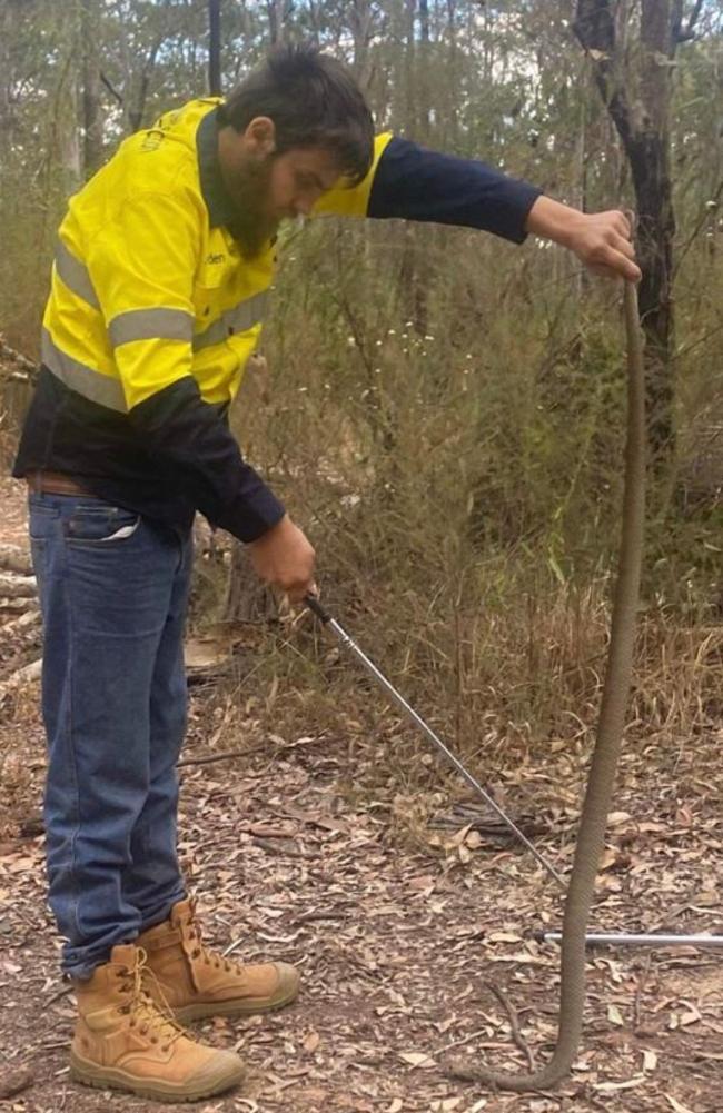 Murraylands Snake Catcher