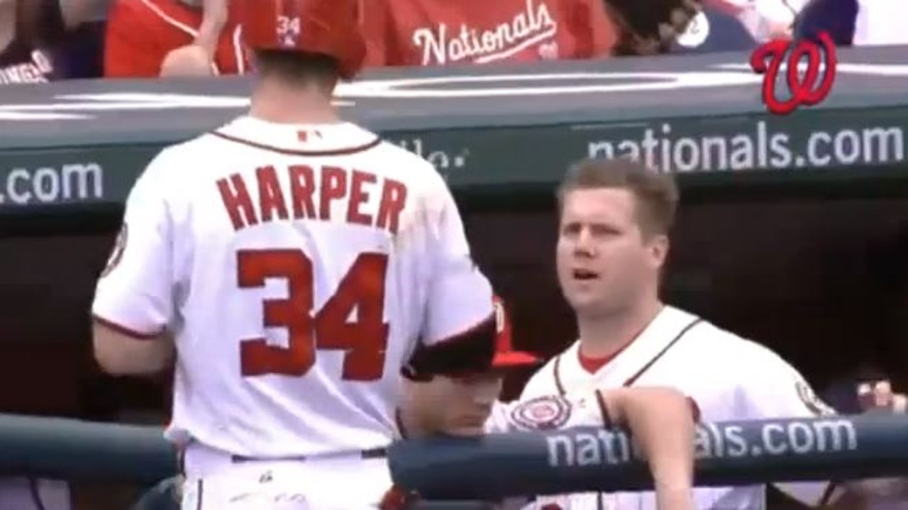 MLB dugout fight video: Jonathan Papelbon, Bryce Harper Washington Nationals