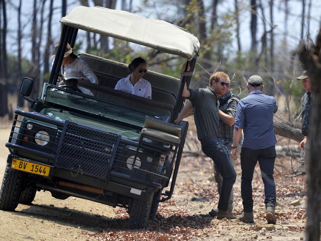 Prince Harry has been a passionate advocate of conservation of animals and the environment. Picture: Dominic Lipinski/Pool via AP