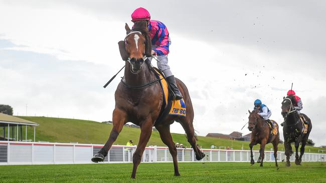 Palace Keys can emulate his impressive last-start win when the sprinter steps up in grade at Casterton on Sunday. Picture: Racing Photos via Getty Images.