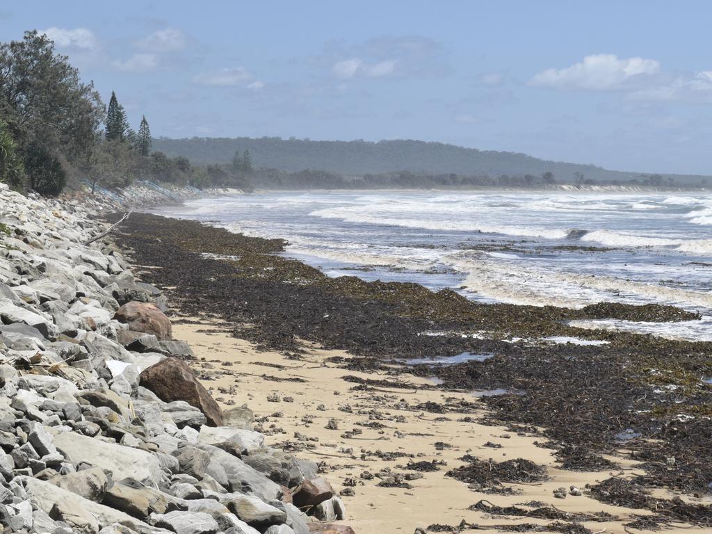 Masses of seaweed have washed up on Brooms Head beach thanks to rough seas and storm activity.