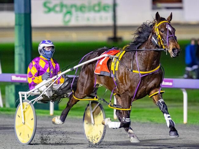 WA gun faces Menangle litmus test before Eureka