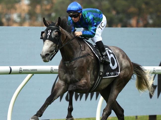 SYDNEY, AUSTRALIA - MARCH 22: Tim Clark riding Alalcance win Race 3 Asahi Super Dry N E Manion Cups during the "TAB Golden Slipper" - Sydney Racing at Rosehill Gardens on March 22, 2025 in Sydney, Australia. (Photo by Jeremy Ng/Getty Images)