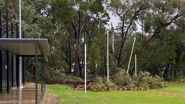 Trees have fallen on goalposts at Montrose Football Club. Picture: Aaron Puddy