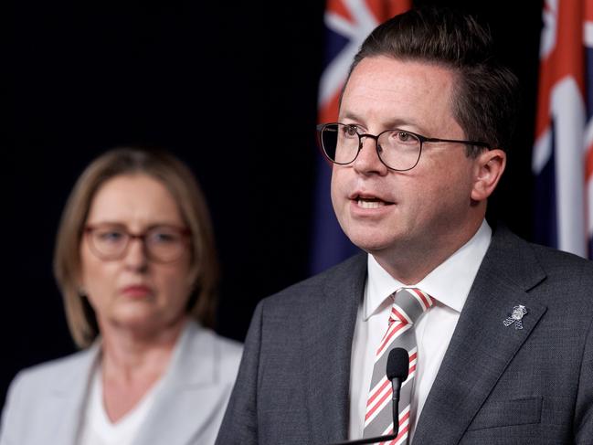 MELBOURNE, AUSTRALIA - NewsWire Photos - December 17, 2024:  Premier Jacinta Allan and Minister for Police Anthony Carbines make an announcement at 1 Treasury Place. Picture: NewsWire /ÃDavid Geraghty