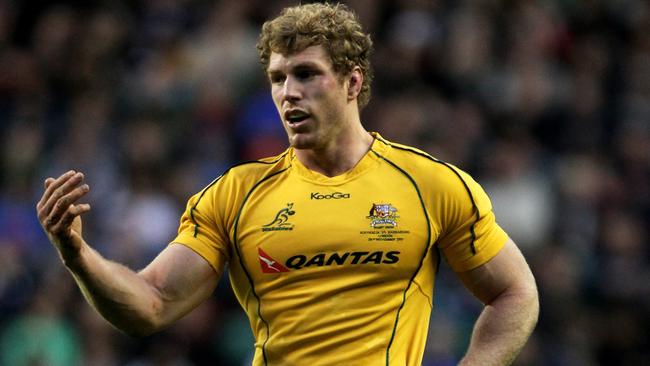 David Pocock is out for the year but could be back in the frame in time for next year’s World Cup.
