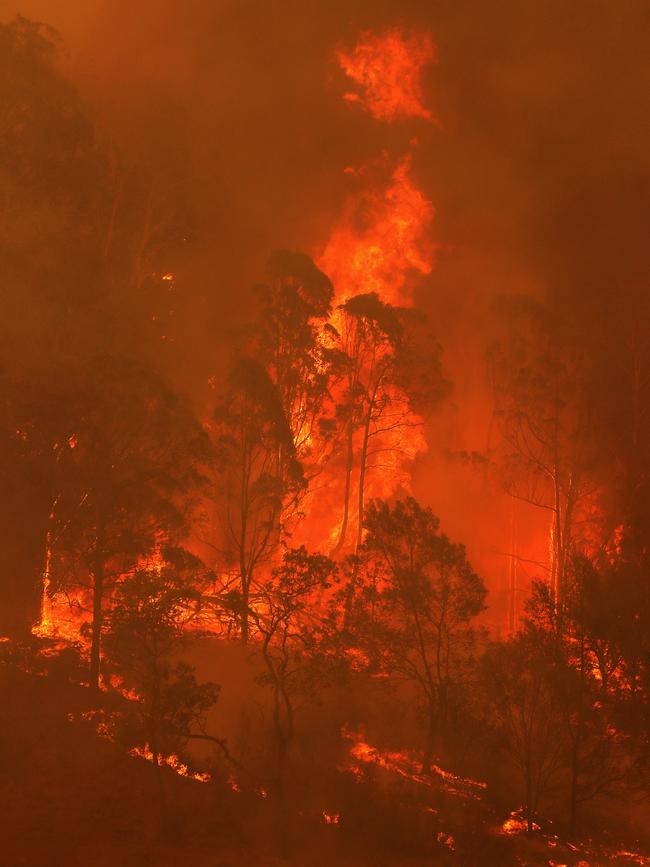 Flames in the Bega Valley, near Wyndham.