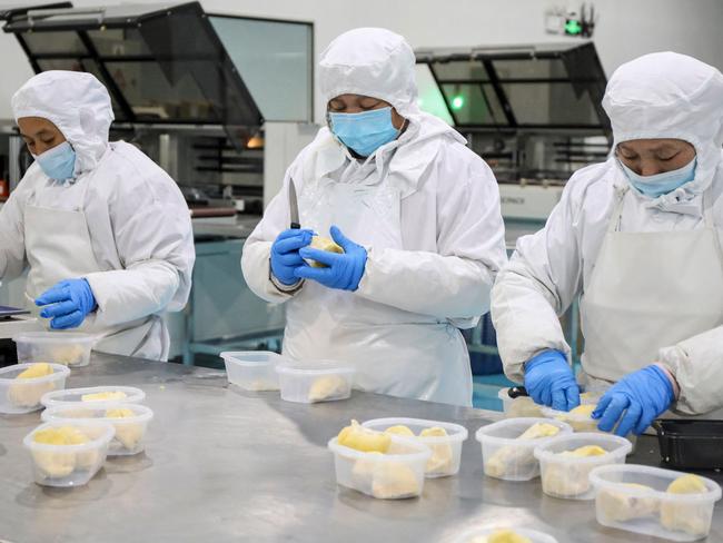 Workers package frozen durian at a food factory in Hangzhou, in China's eastern Zhejiang province on February 3, 2023. (Photo by AFP) / China OUT