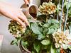 The secret ingredient to supercharge your soil