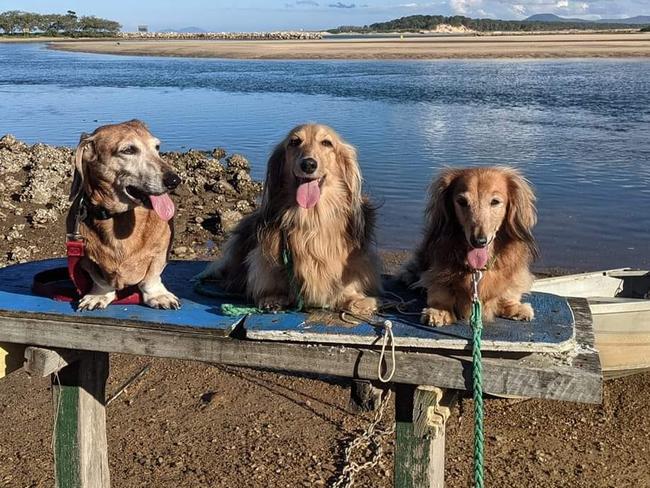 Alyke Norris took this photo of "the three stooges". Coffs cover image.