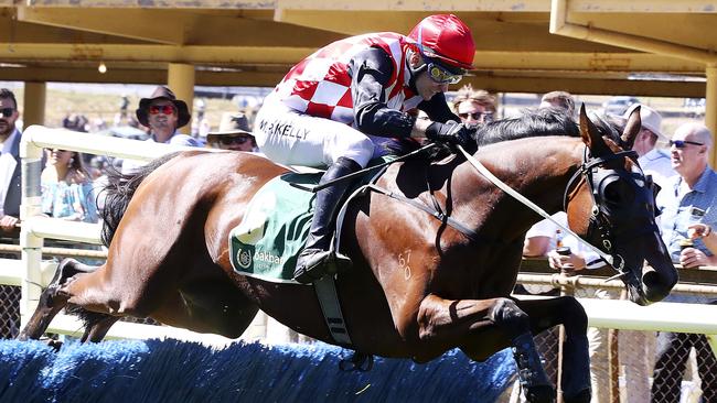 The 2020 Oakbank Races will be behind closed doors. Picture: Sarah Reed.