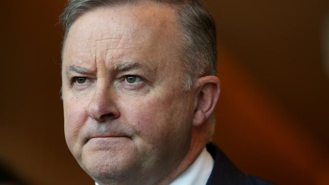 Opposition Leader Anthony Albanese. Picture: NCA NewsWire / Damian Shaw