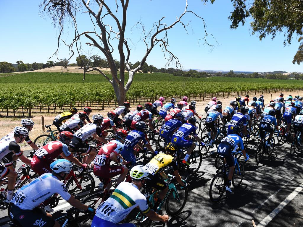 The peloton rolls past vineyards en route to Lyndoch. Picture: Dan Peled/AAP Image