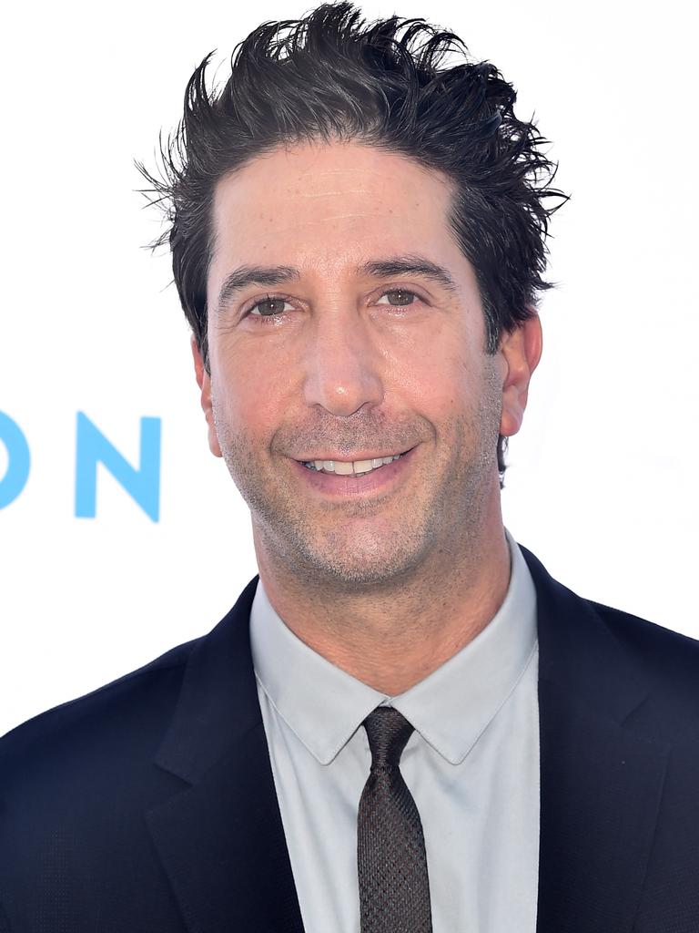 David Schwimmer: Friends star lookalike caught by police in UK | Daily ...