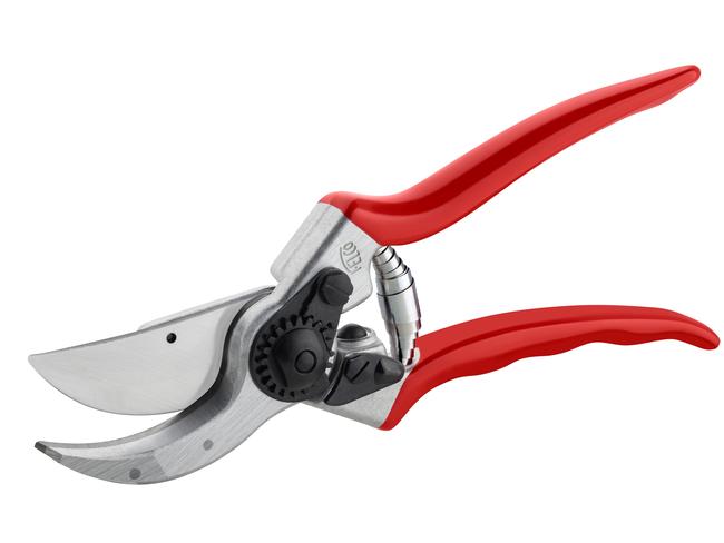 Felco secateurs and holster.