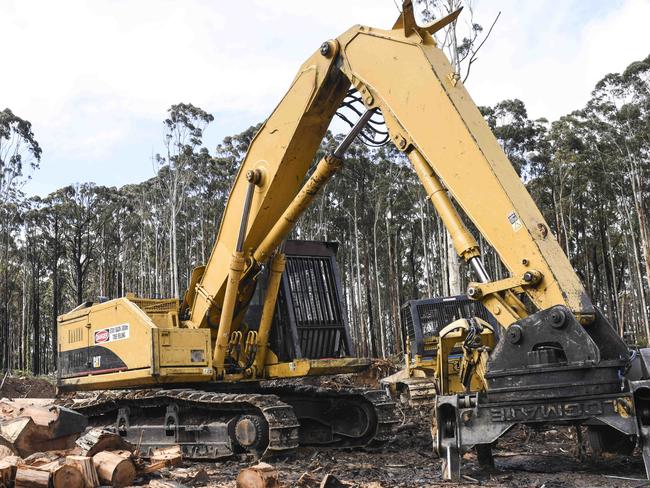 Logging contractor Colin Robin's business will be affected by the State Government's move to ban logging. Pictured at a logging site near Icy Creek. Photo: DANNIKA BONSER