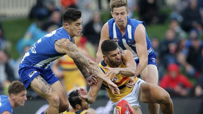 North Melbourne swamped Adelaide last weekend and could swamp plenty more teams this season. Picture: Luke Bowden