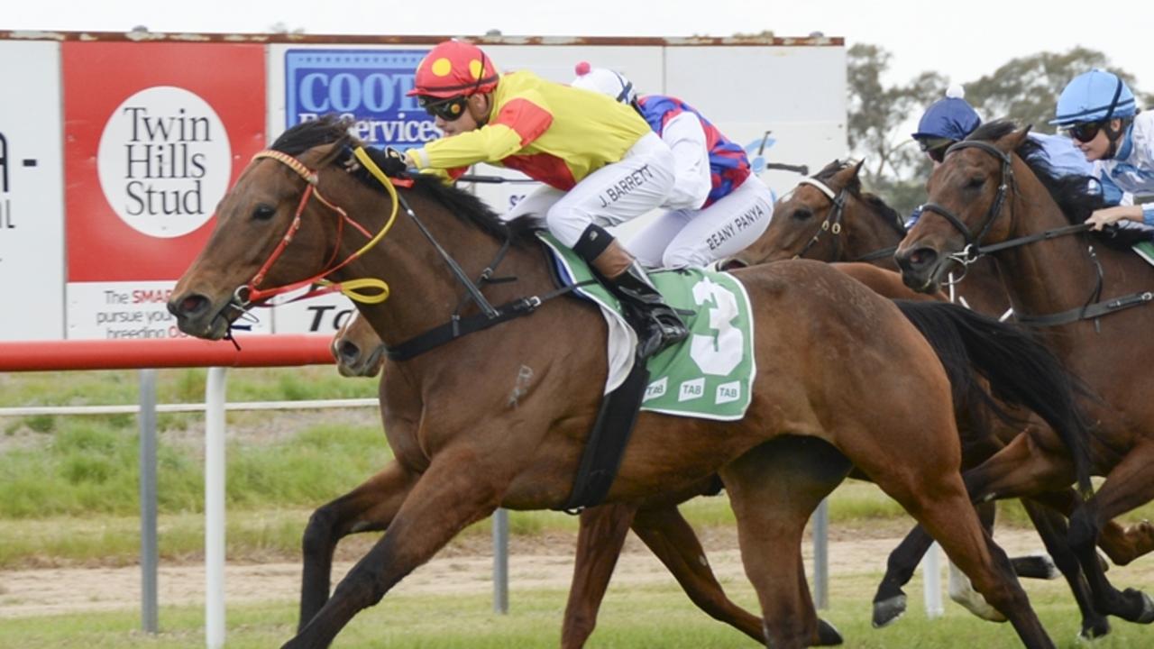 Zelago will be storming home in the Thunderbolt at Queanbeyan on Sunday. Picture: Bradley Photos