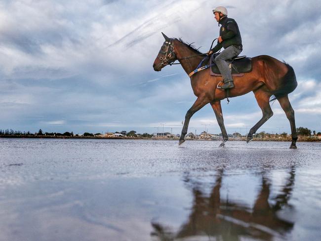 Ben Cadden on superstar mare Winx at Altona Beach on Sunday morning. Picture: Colleen Petch