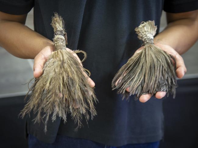 Some of the Aboriginal ceremonial items repatriated from Manchester Museum