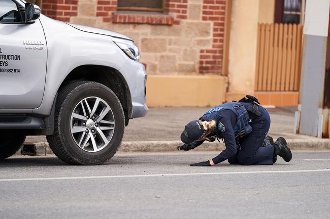 Police search surrounding streets for evidence. Picture: Matt Loxton