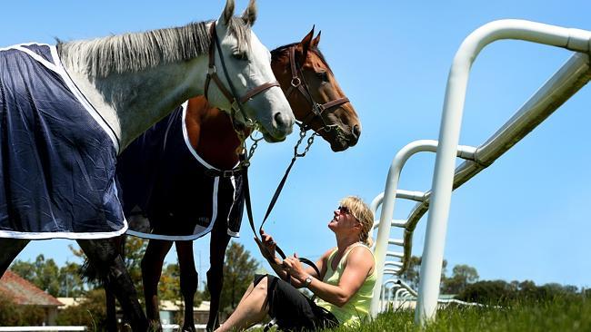 Robert Heathcote's pair of Fire Up Fifi and Buffering with travelling foreperson Melissa Leitch. Picture: Colleen Petch