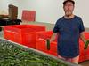 Farmer’s brutal reaction to Coles and Woolies