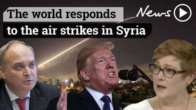 The world responds to the air strikes in Syria