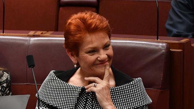 One Nation leader Pauline Hanson double-crossed the government by voting against the Ensuring Integrity Bill. Picture: AAP