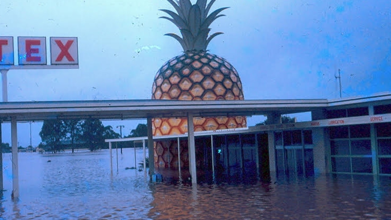 David English provided this shot of the pineapple in the middle of one of Gympie’s frequent flood events.