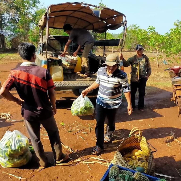 Elephant Valley Project receives food from donations to feed their animals. Picture: World Animal Protection