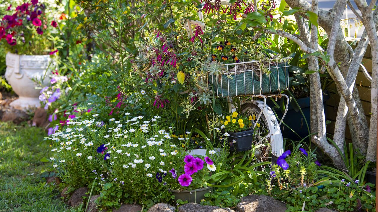 The garden of Janice Canning at 20 Aberdeen St. Toowoomba. 2020 Garden for Good. Thursday. 24th Sep 2020