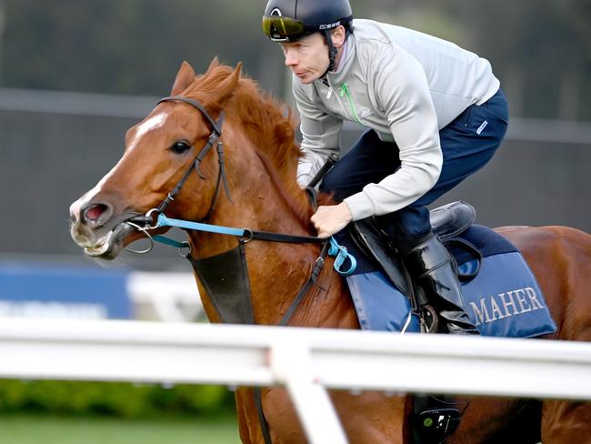 SYDNEY, AUSTRALIA -OCTOBER 25, 2022: UK Galloper Light Infantry with Jockey Jamie Spence during a practice run at Canterbury. Picture:  Jeremy Piper