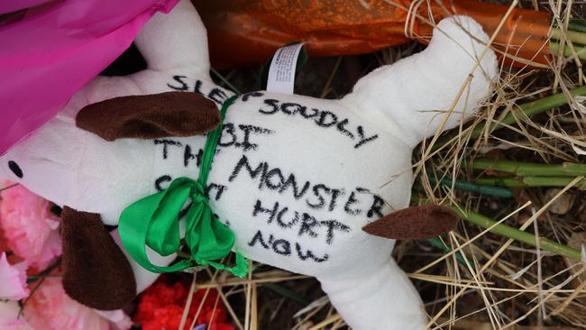 A message attached to a plush dog toy at the Whispering Wall. Picture: NCA NewsWire/David Mariuz