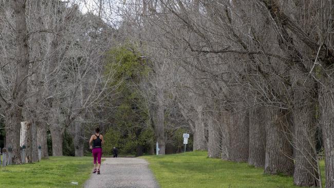 A woman runs along the Main Yarra Trail in Heidelberg. Picture: Andy Brownbill