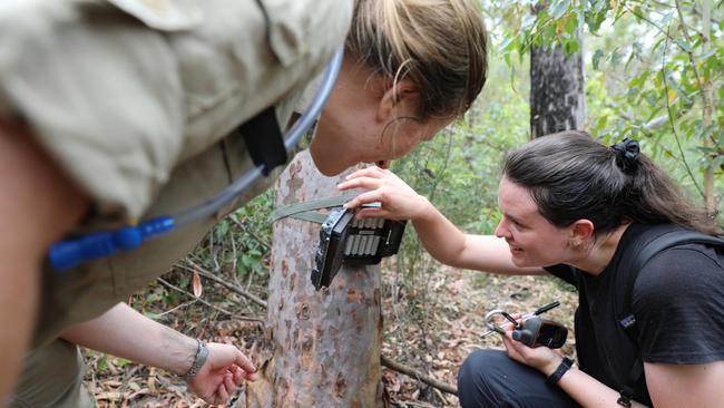 WWF staff and a UQ researcher in-the-field checking wildlife camera traps to monitor brush-tailed rock wallaby recovery in Mt Barney National Park. Pictures: Supplied