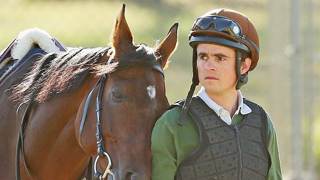 Dunaden is walked by Mathieu Brasme during trackwork ahead of the Melbourne Cup. Picture: Getty Images