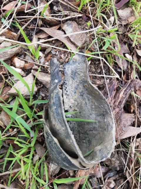 The shoe Daryl Floyd, the brother of missing murdered schoolboy Terry Floyd, found down the old gold mine he believes Terry's body was dumped down in 1975.