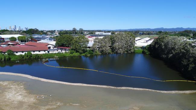 Black Swan Lake at Bundall. Picture: Glenn Hampson.