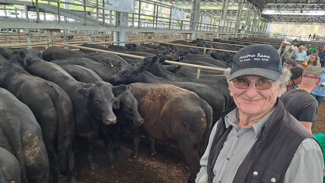 Laurie Tanner, Mansfield, with the family’s pen of 19 Angus steers which were judged the best presented pen at Yea. They were one of the heaviest in the sale at 405kg and sold for $1300 (320c/kg).