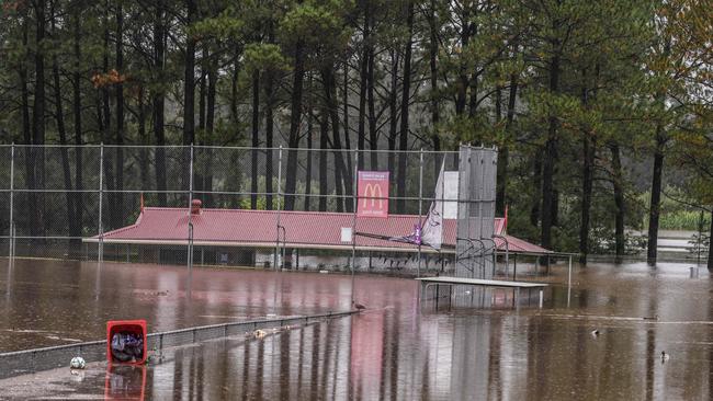 Flooding at Pitt Town, McGraths Hill. Picture: NCA NewsWire/Flavio Brancaleone.